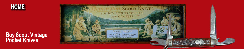 A journal of inquiry into the history and memorabillia of the boy scouts